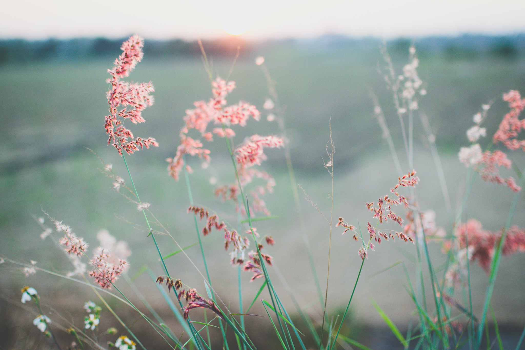 Featured image for “Melissa’s Blog: Whispers from God – Blog 21”